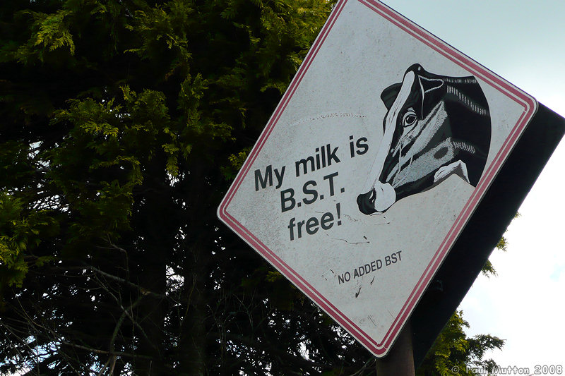 P1000163 BST Free Milk